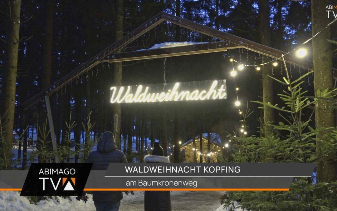 Waldweihnacht 2023 in Kopfing, Baumkronenweg