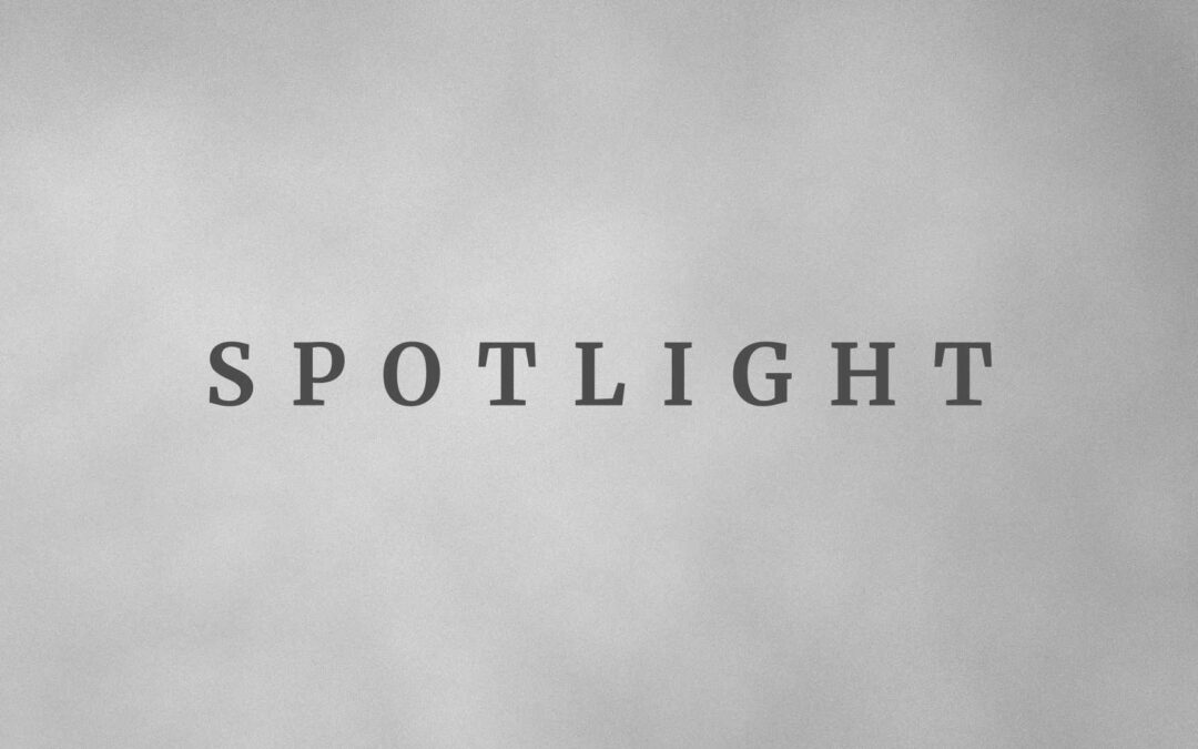 Spotlight Alt