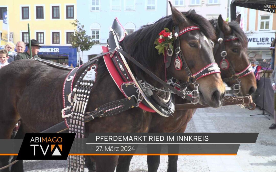 Pferdemarkt Ried im Innkreis 2024