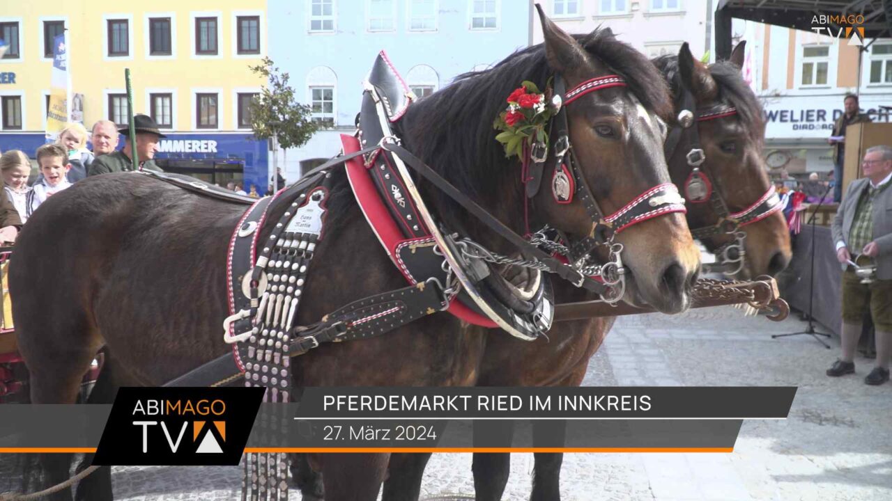 Pferdemarkt Ried im Innkreis