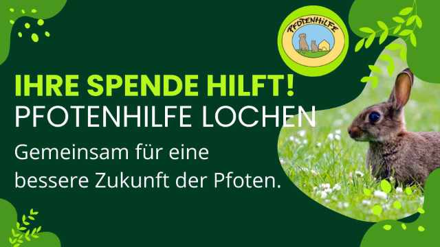 Pfotenhilfe