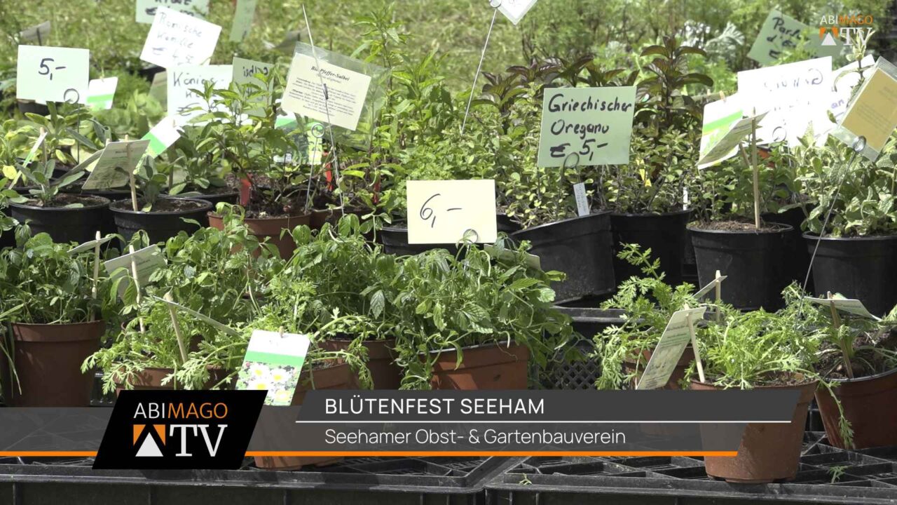 Blütenfest Seeham