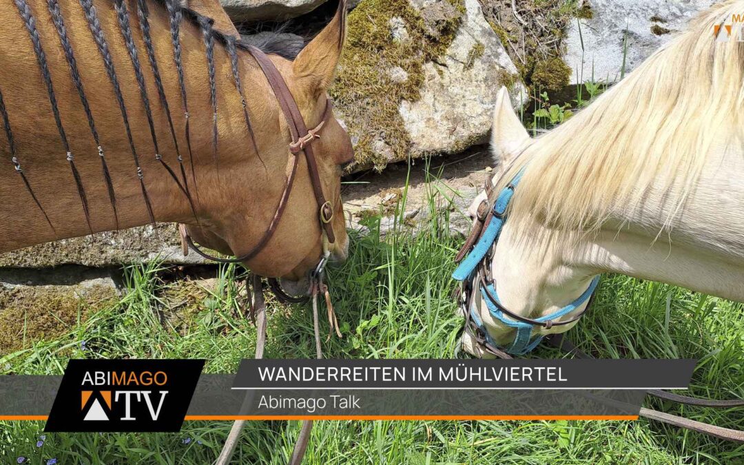 Wanderreiten im Mühlviertel 2024