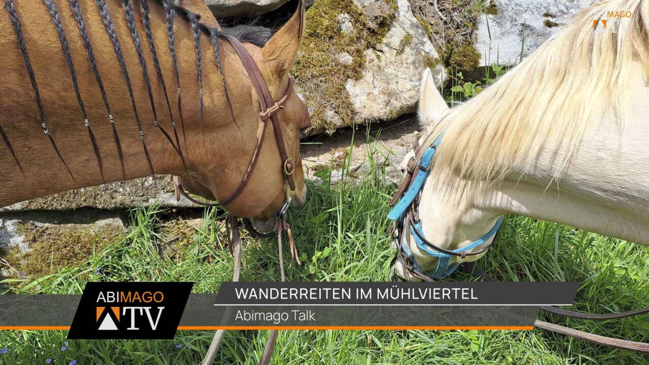 Wanderreiten im Mühlviertel