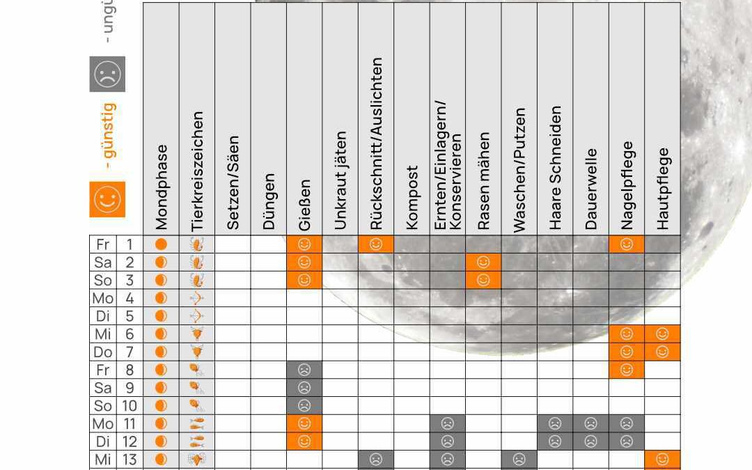 Mondkalender November 2024