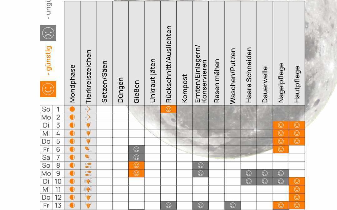 Mondkalender Dezember 2024