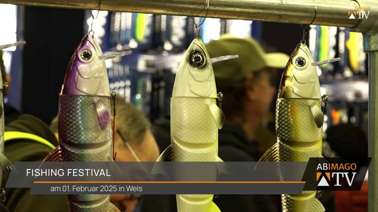 Fishing Festival - Wels 2025