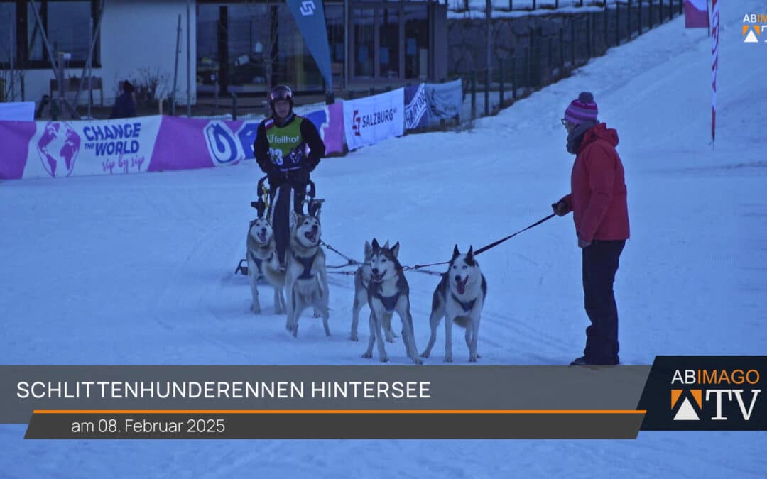 Schlittenhunderennen Hintersee