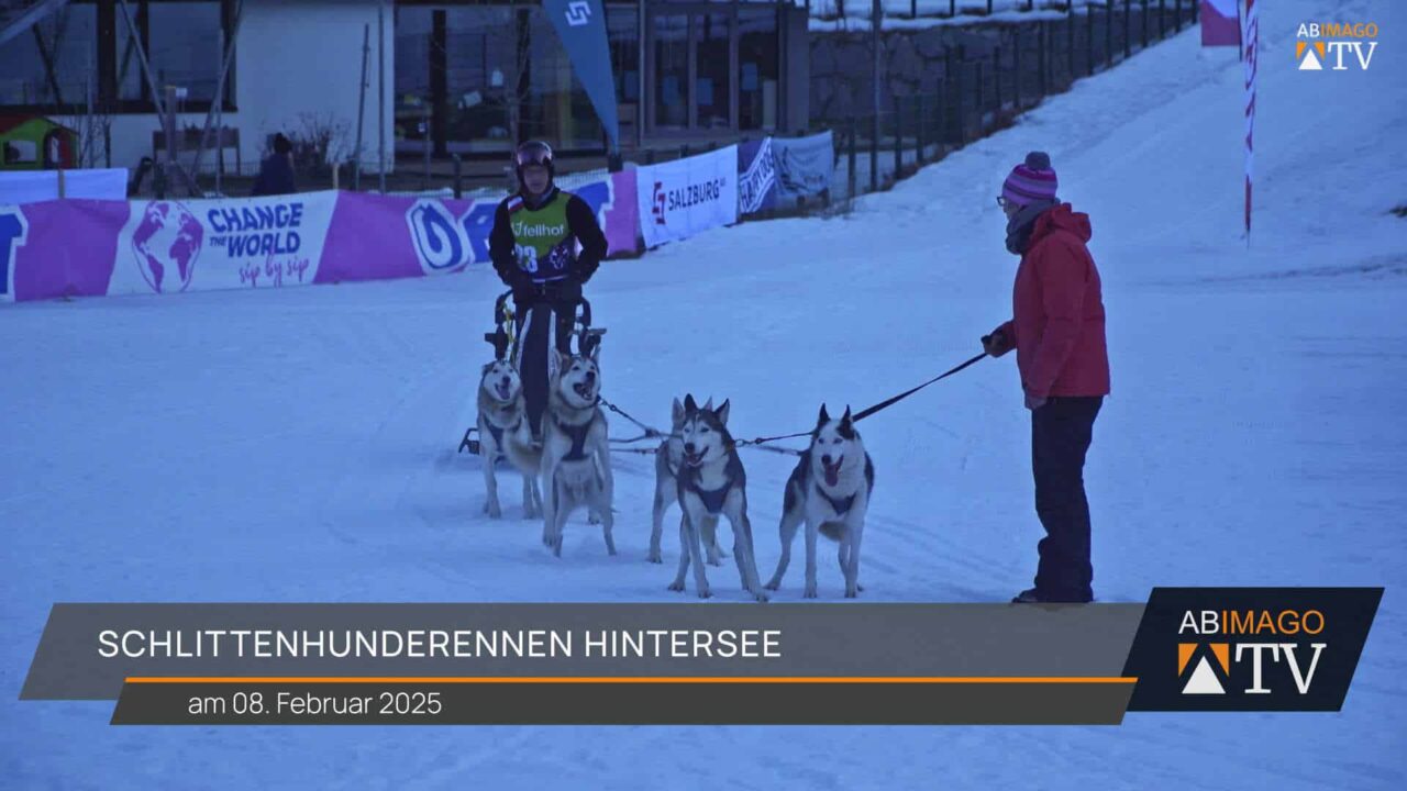 Schlittenhunderennen Hintersee 2025