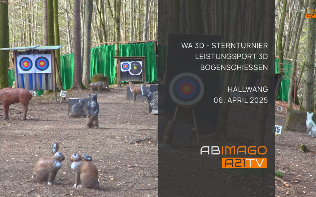 WA 3D – Sternturnier Leistungssport 3D Bogenschießen Hallwang